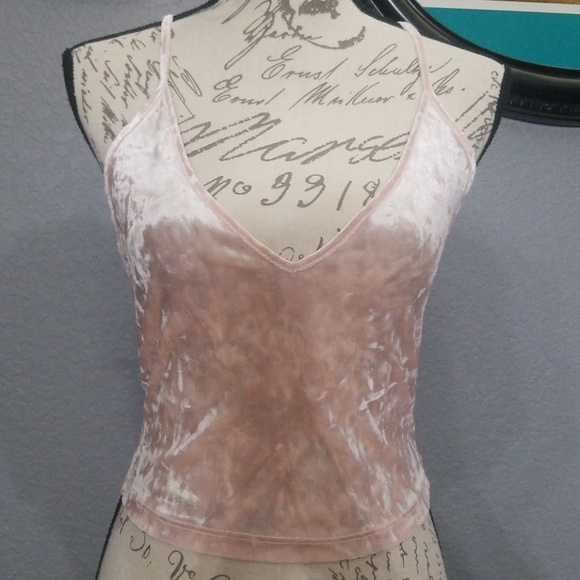 Forever 21 Tops - Beautiful Velvet Crop Top